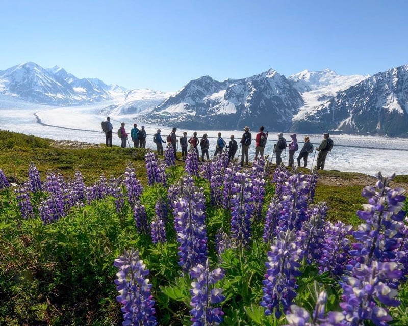 Alaska Heli-Hiking with Lunch
