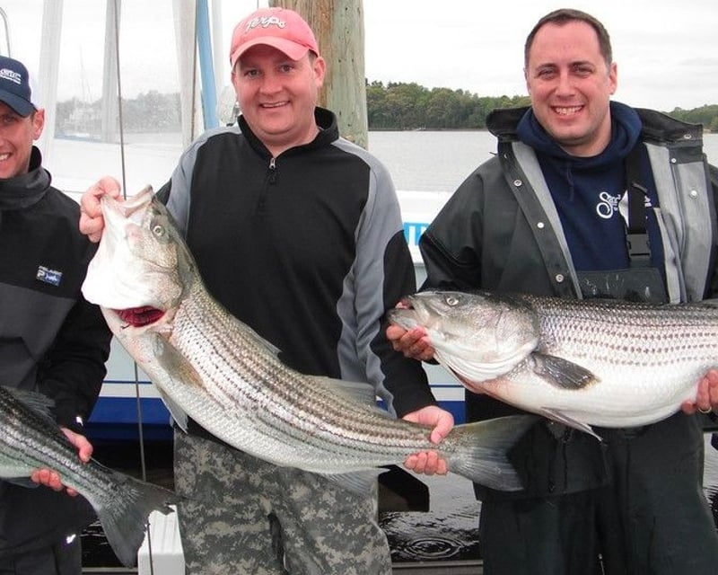 Striped Bass & Blackfish Fishing Charter in Fair Haven, NJ