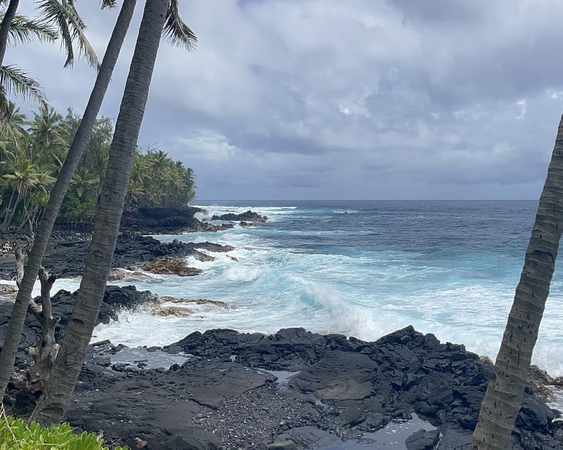 Big Island Fat Tire E-Bike Tour