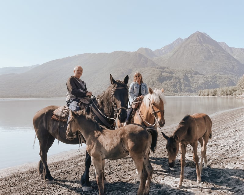 Guided 1.5-Hour Summer Horseback Trail Ride in Palmer