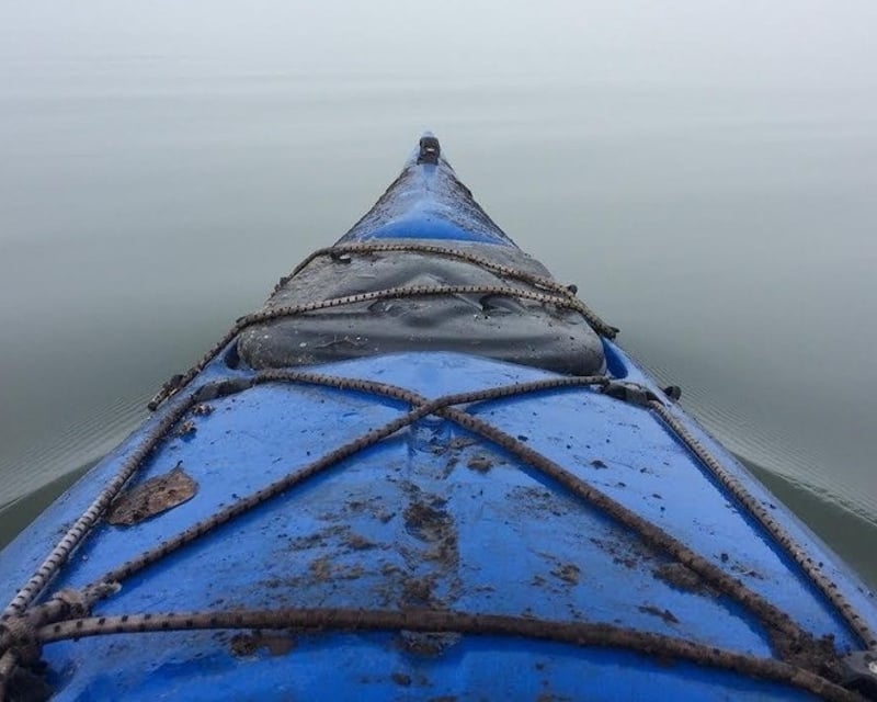 Morning Guided Kayak Tour on Folly River