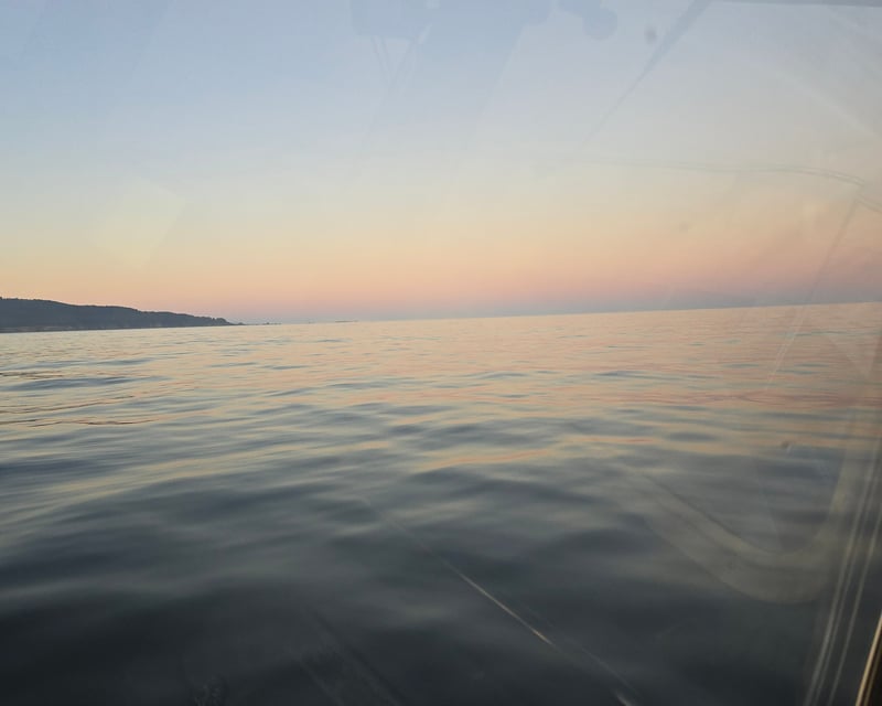 Scenic Harbor Cruise & Wildlife Viewing in Coos Bay