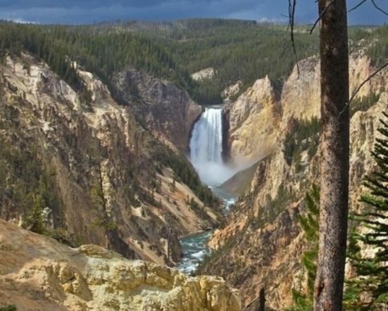 Full-Day Yellowstone Guided Tour From Jackson