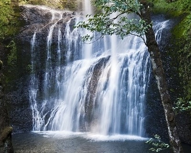 Columbia River Gorge Waterfall & Herb Hike from Portland