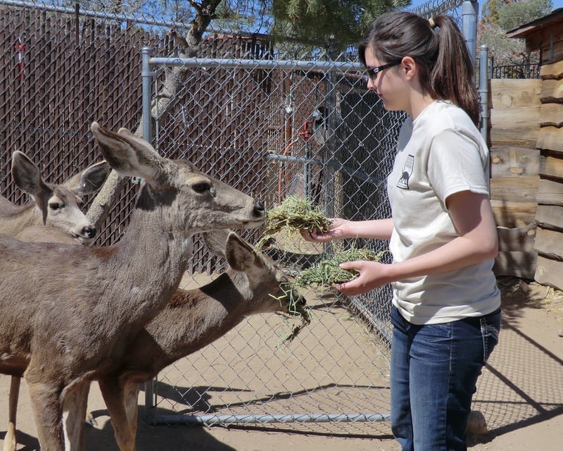 Full-Day Animal Keeper Experience in Prescott