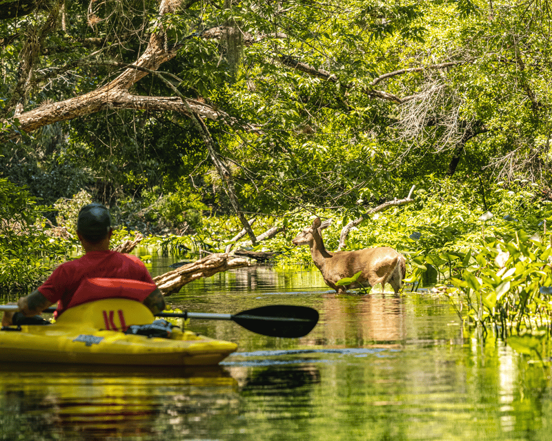 Shuttle Run Self Guided Paddle From King's Landing