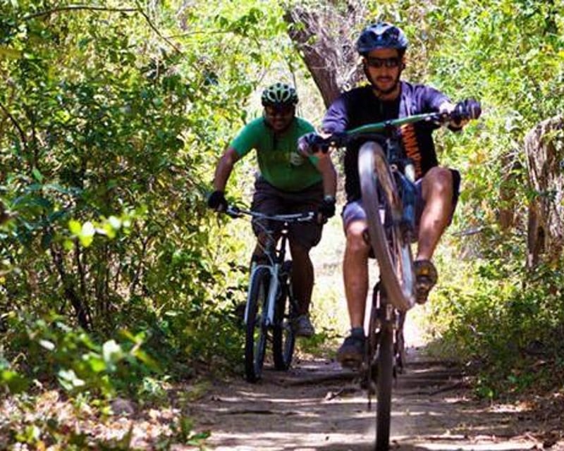 Rincón de la Vieja Volcano Singletrack Mountain Bike Tour