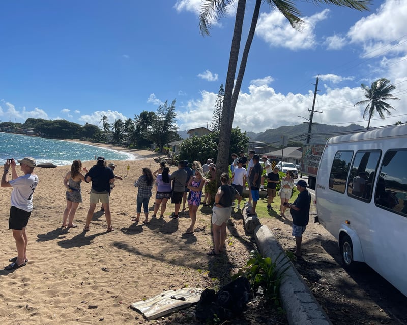 Oahu Circle Island Tour with Turtle Bay Snorkeling