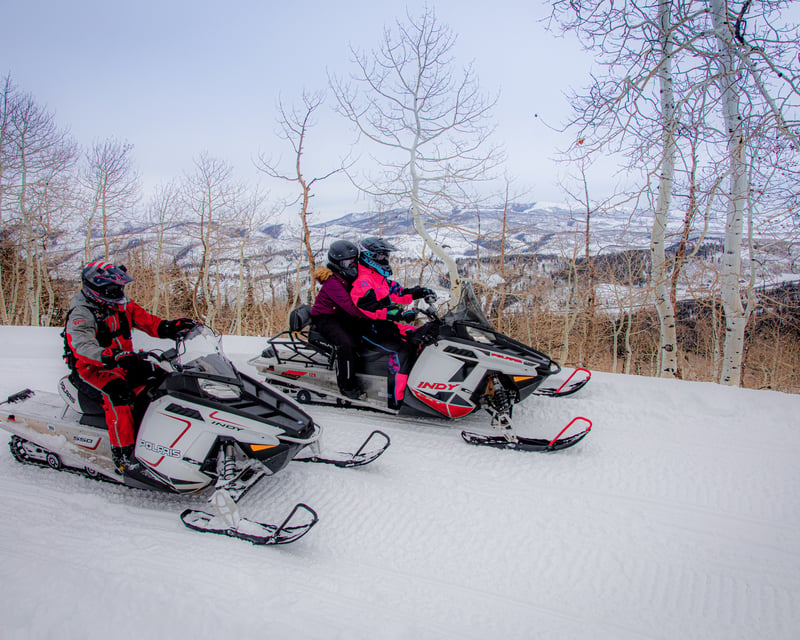 Private Guided Snowmobile Tour to 10,000 Ft Near Heber City