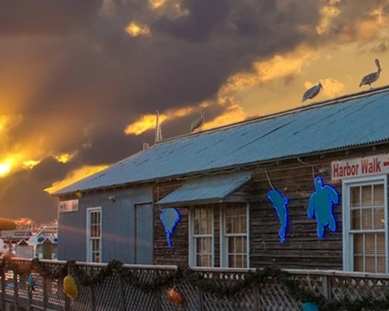 Explore Hemingway Food & Walking Tour in Key West