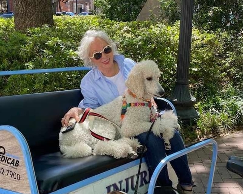 30-Minute Savannah Pedicab Ride