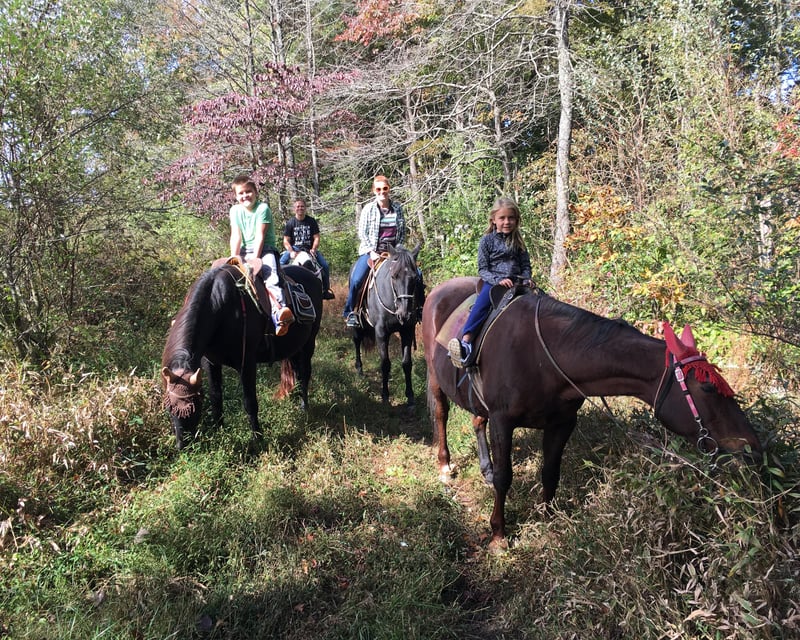 Horseback Trail Ride in New Plymouth