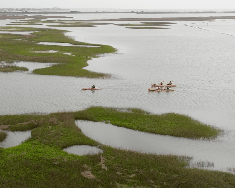 Guided Kayak & Watercolor Painting Tour in Galveston