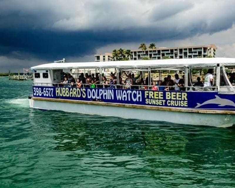 Dolphin Watching Cruise in John's Pass