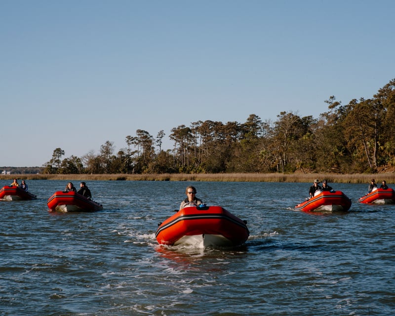 Guided Mini Boat Dolphin Tour in Hilton Head Island