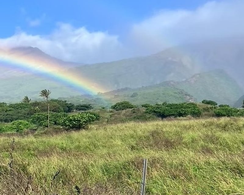 Private Biologist-Led Road to Hana Loop Tour on Maui