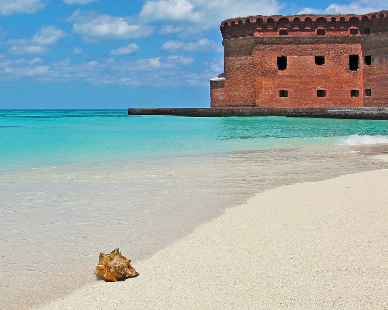 Full-Day Fort Jefferson & Dry Tortugas Charter
