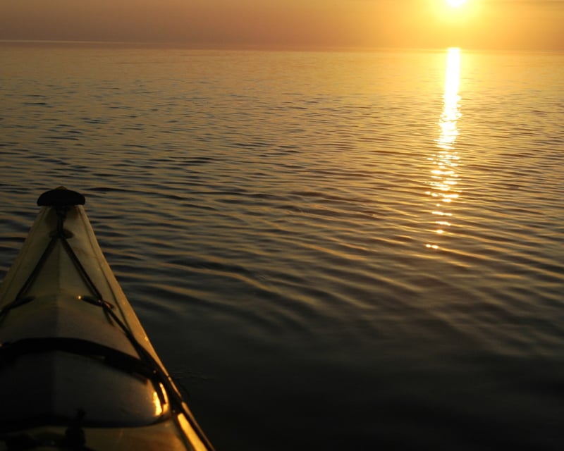 2-Hour Guided Kayak Tour in Duck