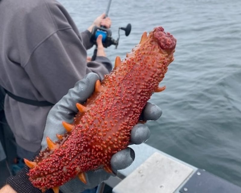 Deep Water Longleader Rockfish Charter in Coos Bay