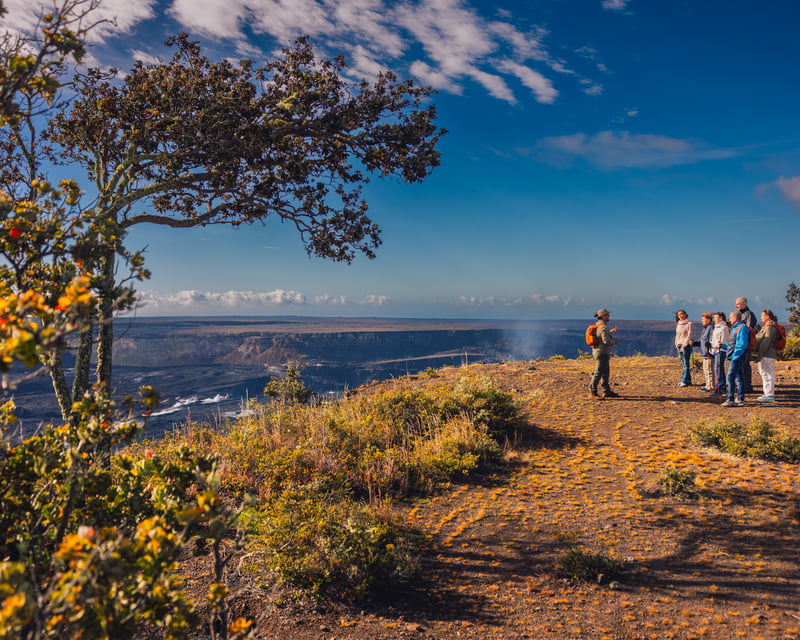 Hawaiʻi Volcanoes National Park & Chocolate Farm Tour