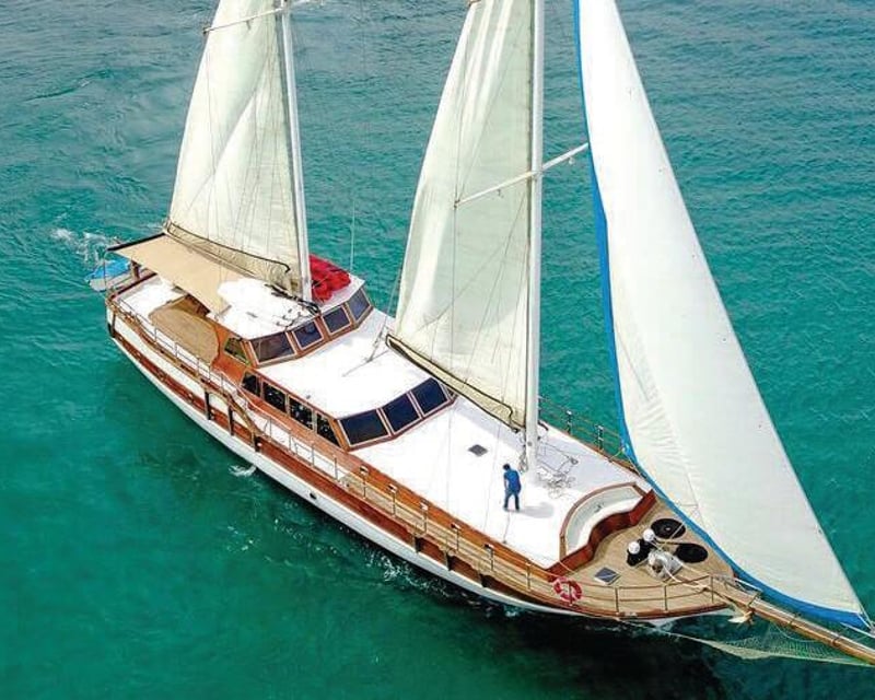 Private Arch & Sea Lion Cruise in Cabo San Lucas