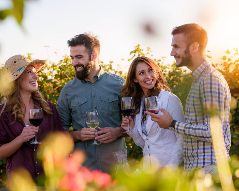 Guided Napa & Sonoma 3-Winery Wine Tour