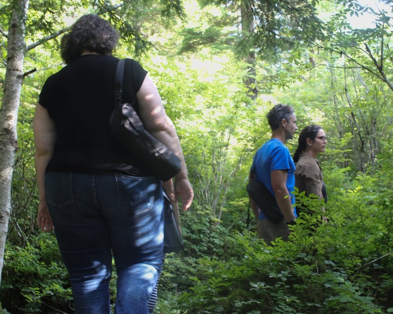 Juneau Forest Mindfulness Tour