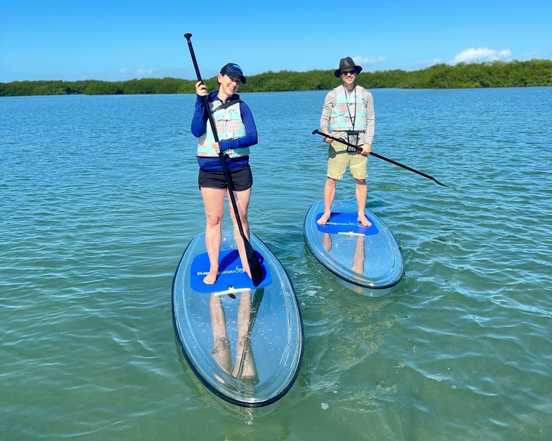 Clear Paddleboard Rental in Marathon