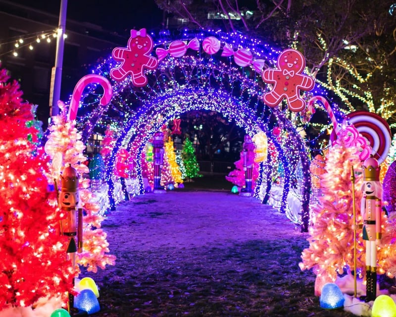 Private Christmas Lights Tour of 3 San Diego Neighborhoods