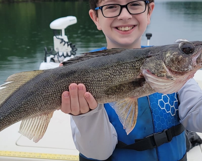 Lake Blue Ridge 4-Hour Fishing Charter