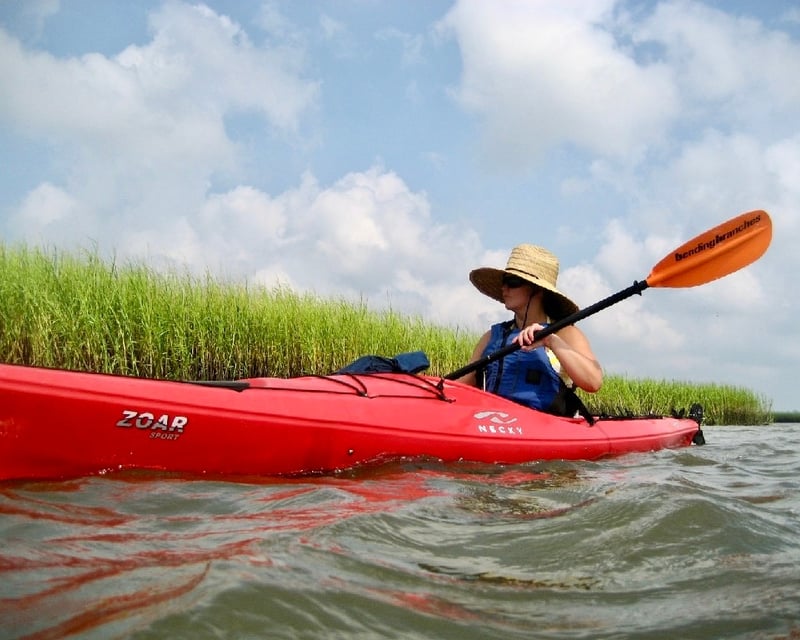 2-Hour Guided Kayak Tour of St. Simons Island