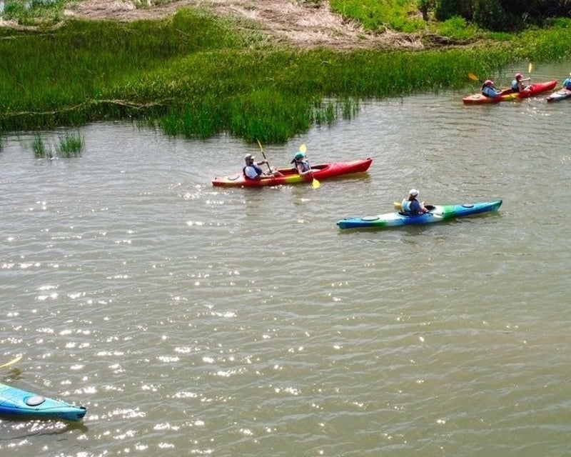 2-Hour Guided Kayak Tour in Folly Beach