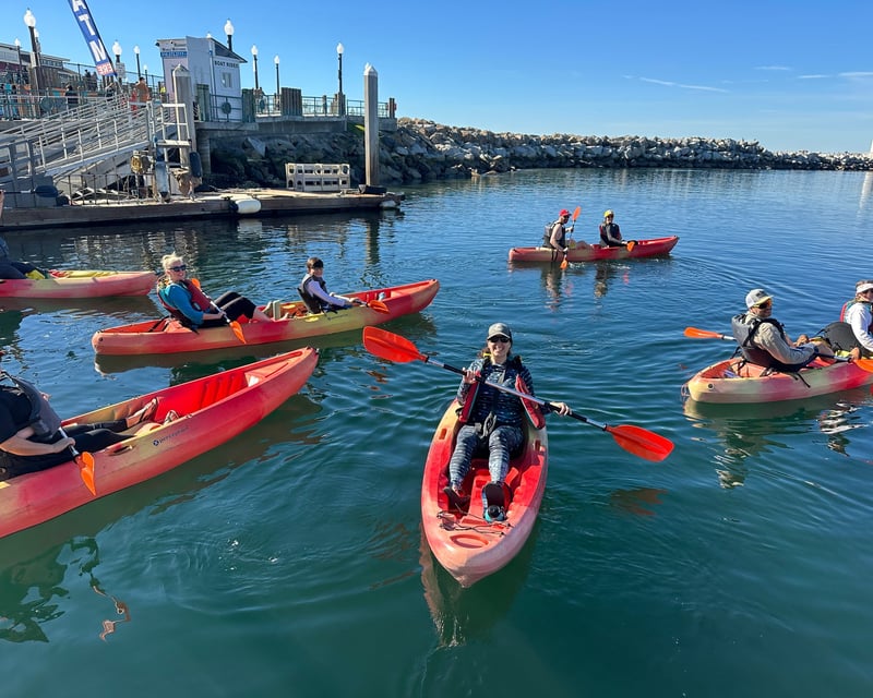 King Harbor Kayak Tour & Fish Feeding in Redondo Beach