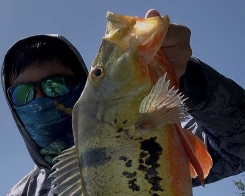 Full-Day Miami Fishing Charter