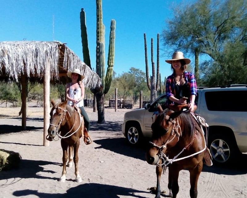 2.5-Hour Baja Desert Guided Horseback Ride