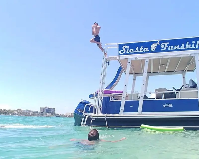 Sarasota 4-Hour Dolphin & Sandbar Cruise