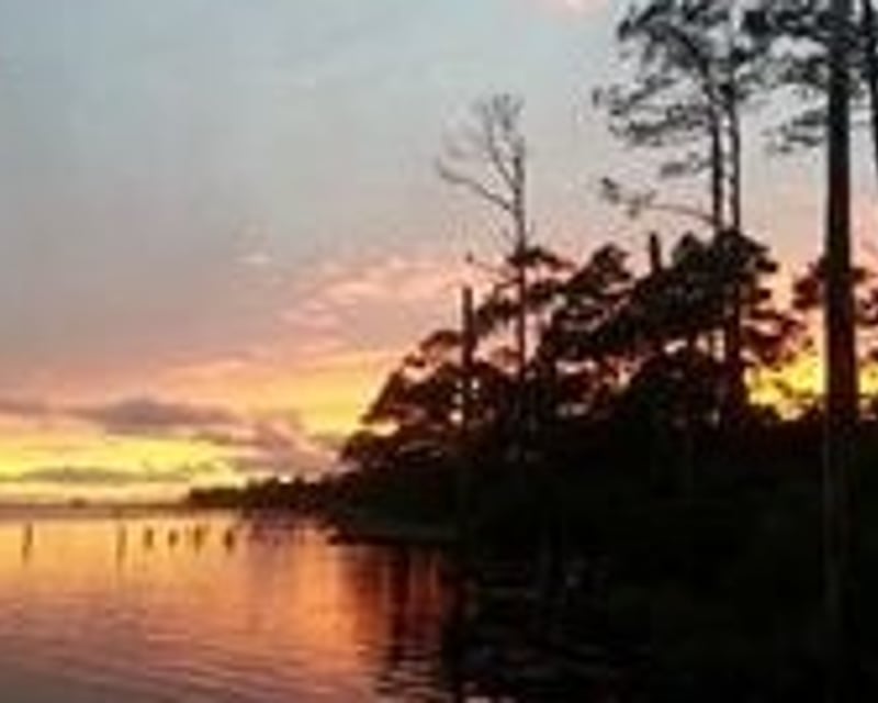 4-Hour Inshore Fishing Charter in Orange Beach