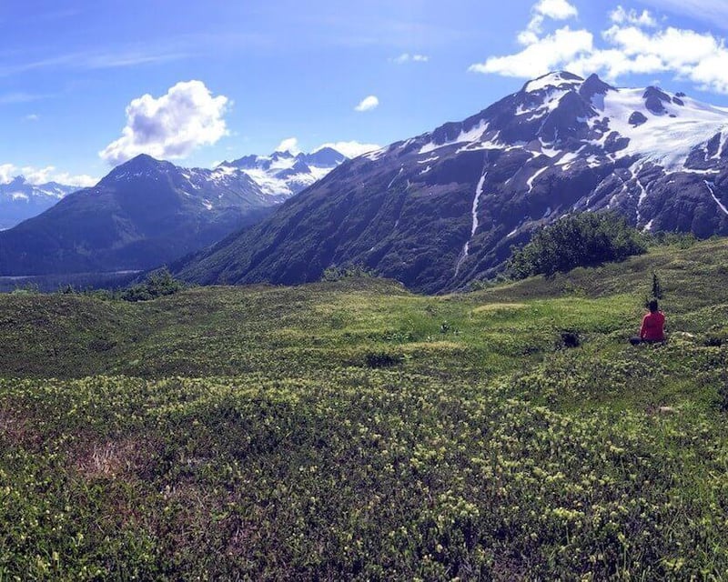 Guided 6-Hour Hike in Kenai Fjords Near Seward