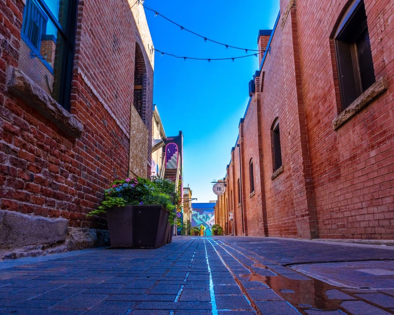 Walking Food Tour in Old Town Fort Collins