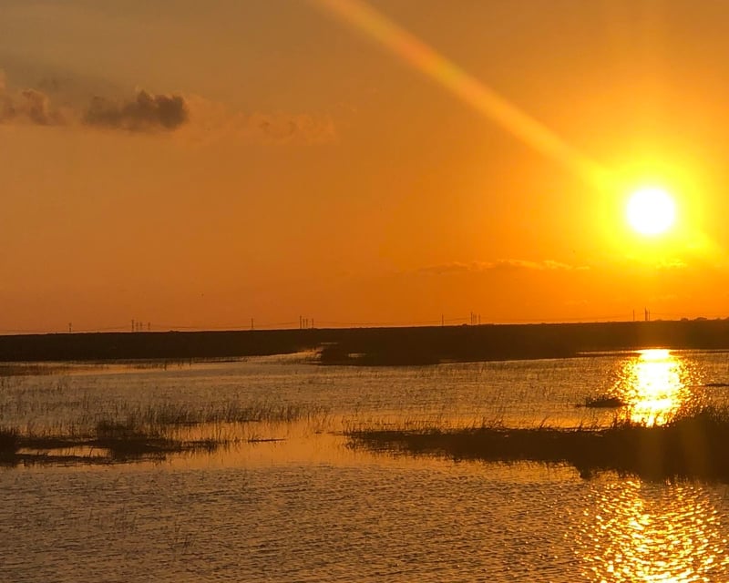 Everglades Sunset Airboat Tour