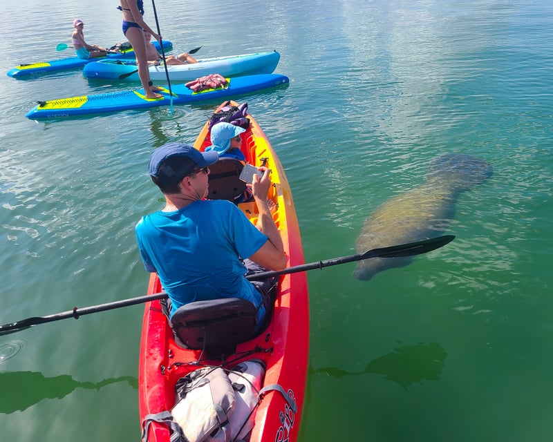 Guided Kayak Tour to Midnight Pass Beach in Siesta Key