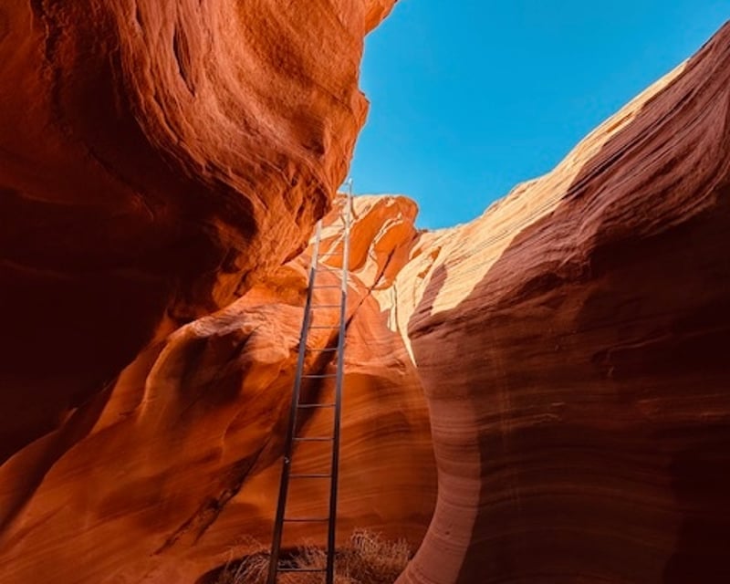 Explore Rattlesnake Canyon Guided Tour From Page