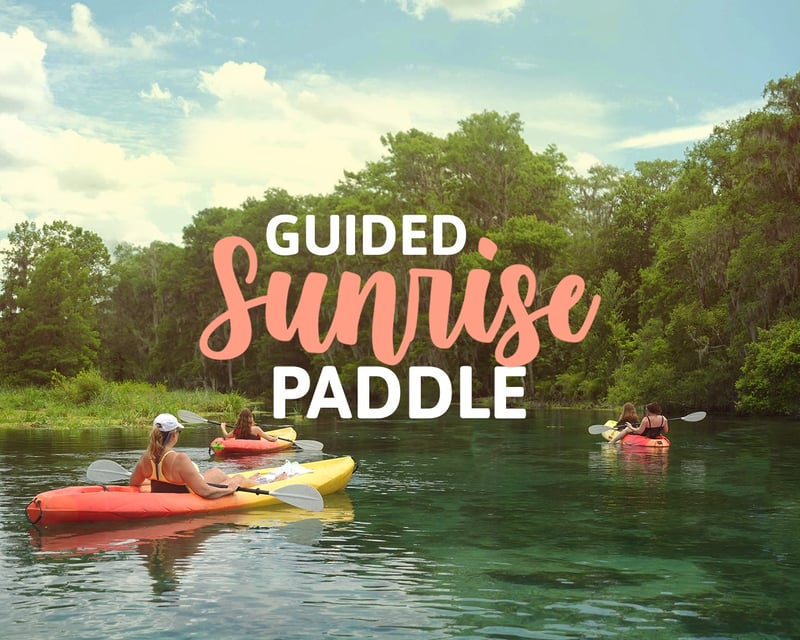 Sunrise Kayak & Paddleboard Tour at Ichetucknee Springs