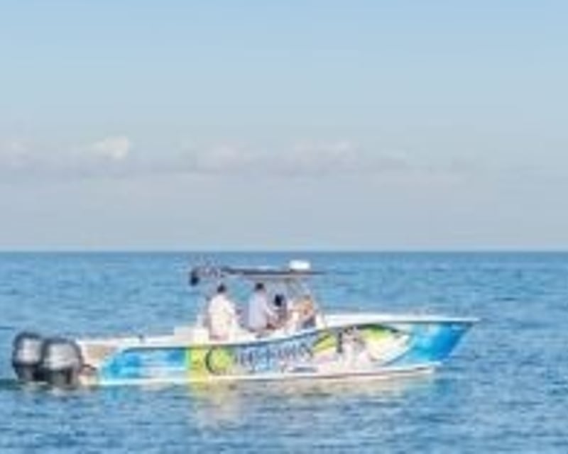 Sunset Dolphin Cruise in Dauphin Island