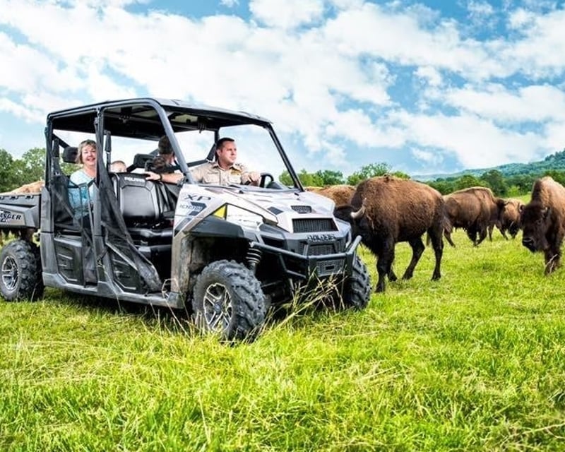 VIP Safari Park Tour & Animal Feeding Near Eureka Springs