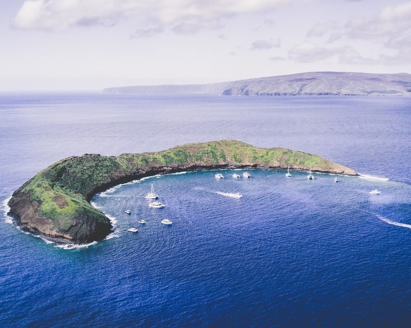 Dive Molokini Backwall & Carthaginian Wreck From Lahaina