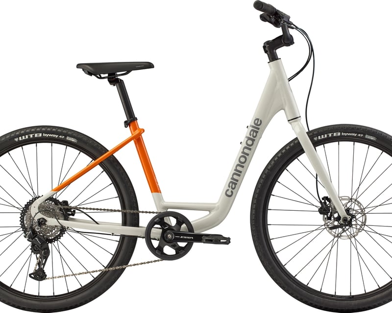 Medium Comfort Bike Rental in Holland, MI