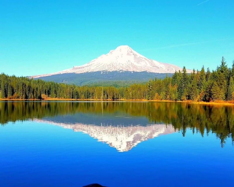 Full-Day Columbia River Gorge Waterfalls & Mt. Hood Tour