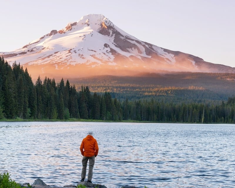 Guided Full-Day Mt. Hood Tour