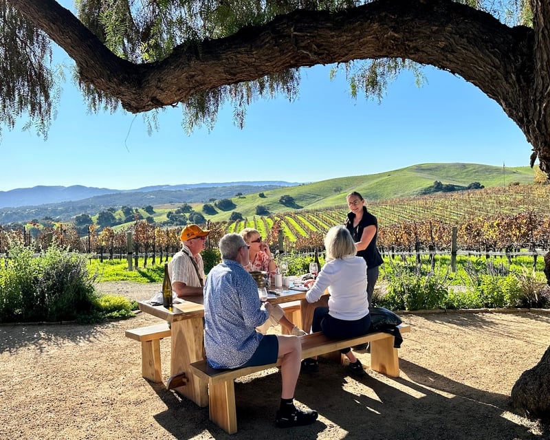 Private Santa Barbara Wine Tour with Estate Tastings